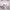 https://res.cloudinary.com/billionhands/image/upload/v1774872197/items/txwqvgwtwekcqxo53b8e.jpg-1cover