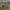 https://res.cloudinary.com/billionhands/image/upload/v1774872222/items/vwzurtltcbgg7rdvtpgg.jpg-2cover
