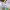 https://res.cloudinary.com/billionhands/image/upload/v1774872275/items/vlcphm56sgqtz3yb5kah.jpg-3cover