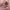 https://res.cloudinary.com/billionhands/image/upload/v1774872288/items/tqttqrtagkz7bodmxjrb.avif-2cover