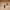https://res.cloudinary.com/billionhands/image/upload/v1774872420/items/cwdiqu23lxodxlpdmqi9.jpg-2cover