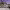 https://res.cloudinary.com/billionhands/image/upload/v1774872434/items/nedzy0kb3a5buvsv64cl.webp-3cover