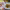 https://res.cloudinary.com/billionhands/image/upload/v1774872479/items/pqgjltn87shq204zfgyi.jpg-2cover
