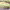 https://res.cloudinary.com/billionhands/image/upload/v1774872489/items/avvjzszmujl1o3z6zzhv.jpg-0cover