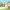 https://res.cloudinary.com/billionhands/image/upload/v1774872561/items/wlpimqgi3vlkepgm7gsr.jpg-1cover