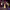 https://res.cloudinary.com/billionhands/image/upload/v1774872573/items/fikojsom1qz0jmpsnlkr.jpg-2cover