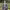 https://res.cloudinary.com/billionhands/image/upload/v1774872612/items/yduflyt7xtq42vczdeiq.jpg-2cover
