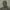 https://res.cloudinary.com/billionhands/image/upload/v1774872613/items/izkrq7jvjzlo8nx6vg0b.jpg-3cover