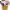 https://res.cloudinary.com/billionhands/image/upload/v1774872616/items/dgipvcsgr1alwa8jbgap.jpg-1cover