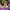 @cookingwithlynja (Lynja) cover