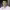 https://res.cloudinary.com/billionhands/image/upload/v1774872687/items/ohkoslnrpps2tw4oq3hi.jpg-1cover