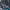 https://res.cloudinary.com/billionhands/image/upload/v1774872751/items/uymwj2io7dthugu03sjk.jpg-2cover