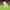 https://res.cloudinary.com/billionhands/image/upload/v1774872755/items/ncsasfyksj89afxgtnah.webp-3cover