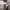 https://res.cloudinary.com/billionhands/image/upload/v1774872759/items/arupfcamo7cpaksmj8lt.webp-2cover