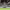 https://res.cloudinary.com/billionhands/image/upload/v1774872772/items/gcn6rbfprxch9lwp1wuf.webp-2cover