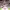 https://res.cloudinary.com/billionhands/image/upload/v1774872782/items/o2vq6lqkajxbqv6sy80v.webp-3cover