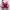 https://res.cloudinary.com/billionhands/image/upload/v1774872786/items/fi3ua8py9j2luhm0qjlv.jpg-1cover