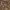 https://res.cloudinary.com/billionhands/image/upload/v1774872789/items/imr2nvqr0hsdvhuv9toz.png-2cover