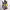 https://res.cloudinary.com/billionhands/image/upload/v1774872828/items/ndqn2wgnem5v47fhz5qn.jpg-2cover