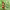 https://res.cloudinary.com/billionhands/image/upload/v1774872888/items/zzwupuoh6fyfh18x7qdt.jpg-1cover