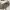 https://res.cloudinary.com/billionhands/image/upload/v1774872905/items/wxybuhghejsb6uakj1hb.jpg-3cover
