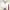 https://res.cloudinary.com/billionhands/image/upload/v1774873093/items/n6kkcb3fybyzew1zsg31.jpg-1cover