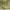 https://res.cloudinary.com/billionhands/image/upload/v1774873171/items/wcpr4nb2vvvkhgifqctz.jpg-0cover