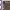 https://res.cloudinary.com/billionhands/image/upload/v1774873541/items/ixteu8vkdikcftbrmfs8.jpg-2cover