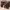 https://res.cloudinary.com/billionhands/image/upload/v1774873585/items/rmjpnfbdncy0xlpttfjj.jpg-3cover