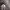 https://res.cloudinary.com/billionhands/image/upload/v1774873646/items/pzg4fhv90k7kbdokk6cw.jpg-1cover