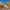 https://res.cloudinary.com/billionhands/image/upload/v1774873648/items/ovwnxp1jexurbjkenlpa.jpg-2cover