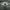 https://res.cloudinary.com/billionhands/image/upload/v1774873683/items/thxvpylxxc4k3jvt3pcr.jpg-2cover