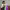 https://res.cloudinary.com/billionhands/image/upload/v1774873795/items/fktrjclyn3tazx0dm9rs.jpg-0cover