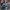 https://res.cloudinary.com/billionhands/image/upload/v1774873802/items/lez2ymruspahvgqg0cvg.webp-3cover