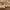 https://res.cloudinary.com/billionhands/image/upload/v1774874034/items/h7xnvuienkuyt9ner01u.jpg-0cover
