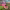 https://res.cloudinary.com/billionhands/image/upload/v1774874090/items/ps8ntfijl0fqwlh2rjjq.jpg-0cover