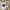 https://res.cloudinary.com/billionhands/image/upload/v1774874182/items/ffgwamuyzwu1k6xmyeec.webp-2cover