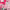 https://res.cloudinary.com/billionhands/image/upload/v1774874184/items/ynqjtrygzcpijlixcpq5.jpg-2cover