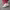 https://res.cloudinary.com/billionhands/image/upload/v1774874377/items/s3a1ydt0yjhz2bb7qabz.webp-0cover