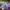 Autism Spectrum Disorders (ASD) Grad Certificate (Arizona State University Online) cover