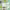 https://res.cloudinary.com/billionhands/image/upload/v1774874555/items/lz2lt3fvxr1x2yaomfzc.jpg-3cover