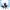 https://res.cloudinary.com/billionhands/image/upload/v1774874645/items/dh7njbwabi5u2bcezpxi.jpg-3cover