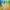 https://res.cloudinary.com/billionhands/image/upload/v1774874694/items/nixmrdjpgmkpyd9s9mvq.webp-1cover
