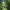 https://res.cloudinary.com/billionhands/image/upload/v1774874702/items/gsyuazm9c0ijc2bxcamz.jpg-2cover