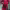 https://res.cloudinary.com/billionhands/image/upload/v1774874726/items/wcbu2gqwdbvqnpfzeqfw.avif-1cover
