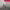 https://res.cloudinary.com/billionhands/image/upload/v1774874822/items/k0xb4zduwxk7hlttujpj.jpg-0cover