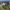 https://res.cloudinary.com/billionhands/image/upload/v1774874916/items/o4ud4y9ss2px5alpde0l.jpg-0cover