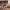 https://res.cloudinary.com/billionhands/image/upload/v1774874929/items/kbogjdbhpdl3k9rhgkek.jpg-0cover