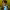 https://res.cloudinary.com/billionhands/image/upload/v1774874937/items/ujrt2trvrgn2xtfzs0sz.jpg-3cover