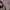 https://res.cloudinary.com/billionhands/image/upload/v1774874940/items/yczcy2v2twmvuwn3pshv.jpg-3cover